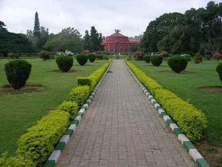 Cubbon Park Lush Tree Canopy in Bangalore Karnataka